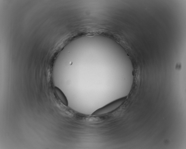 X0000114080716200910051000