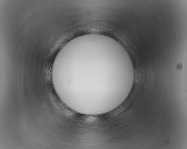 X0000114080718200910051000