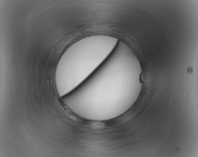 X0000114080719200910051000