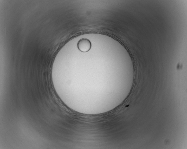 X0000114080720200910051000