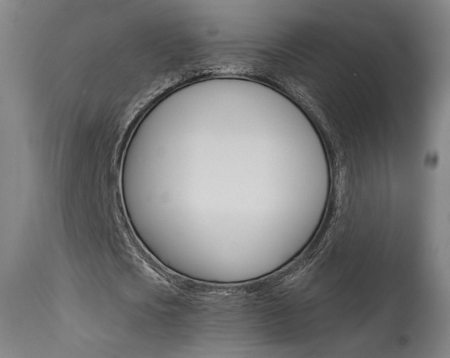 X0000114080721200910050959