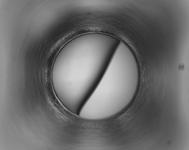 X0000114080722200910050959