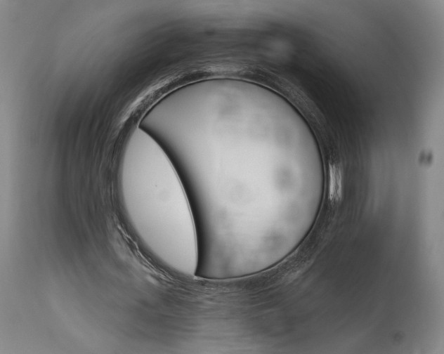 X0000114080723200910050959