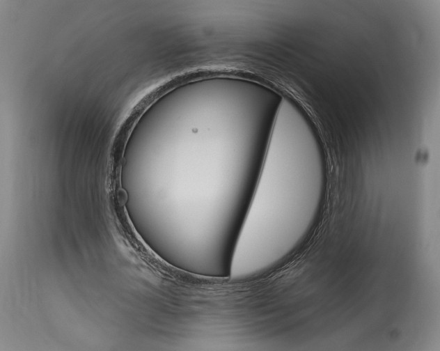 X0000114080724200910050959