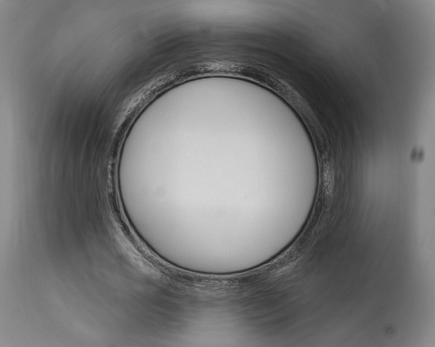X0000114080725200910050959