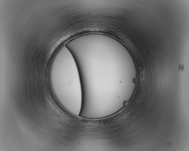 X0000114080727200910050959