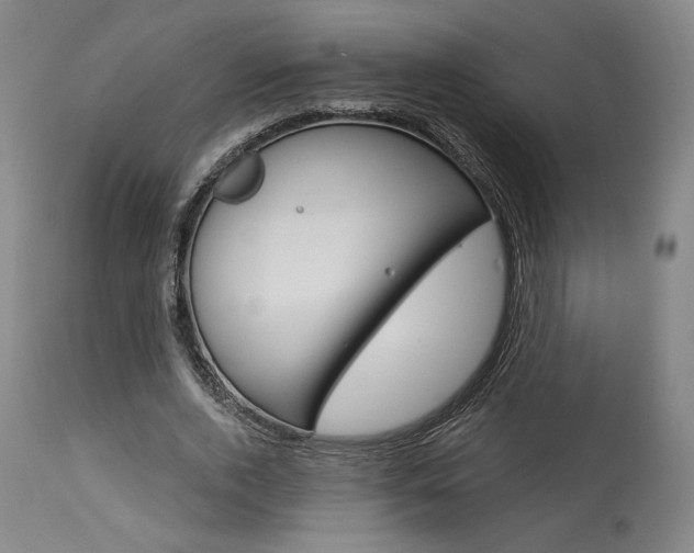 X0000114080728200910050959