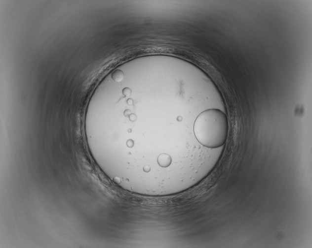 X0000114080729200910050959