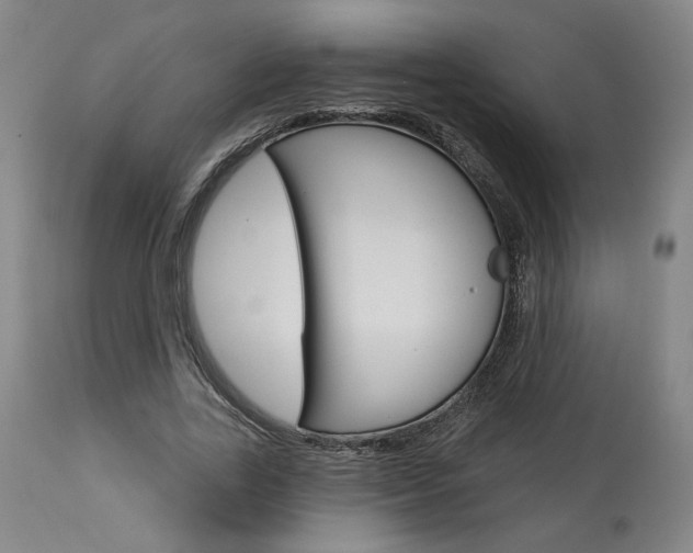 X0000114080731200910050959