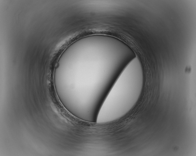X0000114080732200910050959