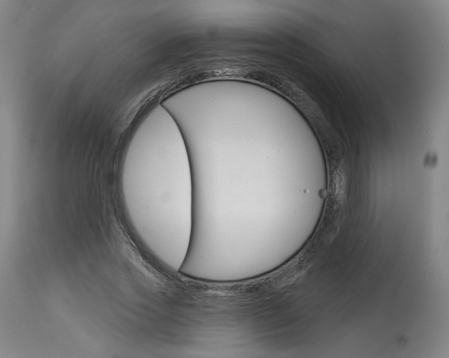 X0000114080733200910050959
