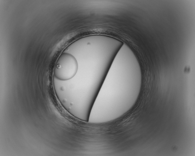 X0000114080734200910050959