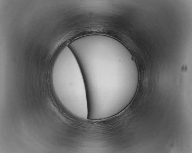 X0000114080735200910050959