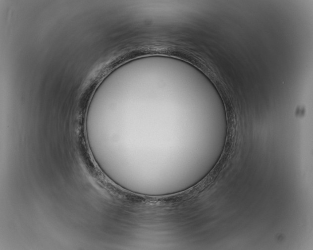X0000114080736200910050959