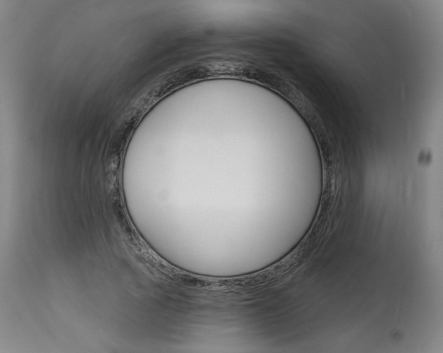 X0000114080737200910050959