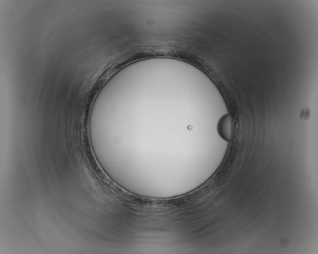 X0000114080739200910050959