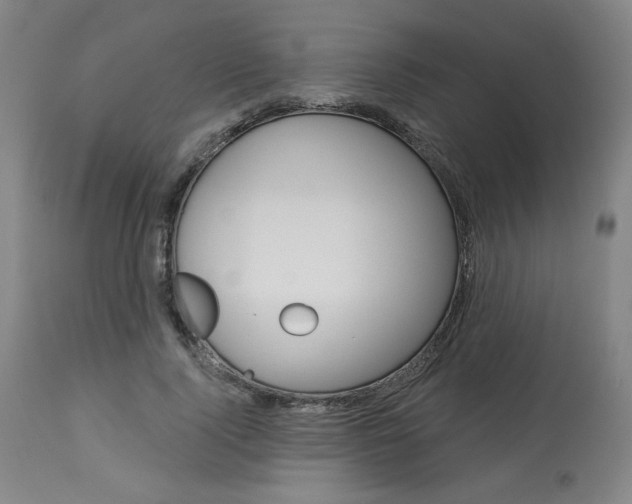 X0000114080740200910050959