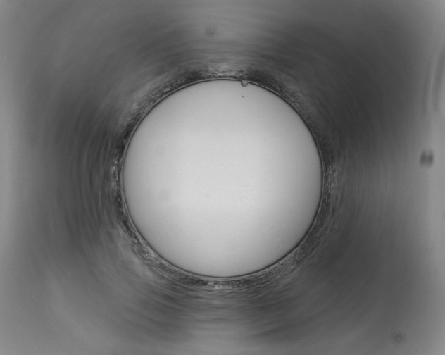 X0000114080741200910050959