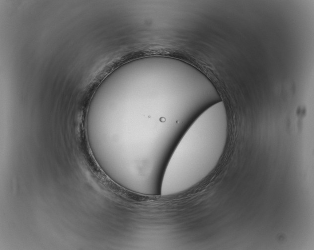 X0000114080742200910050959
