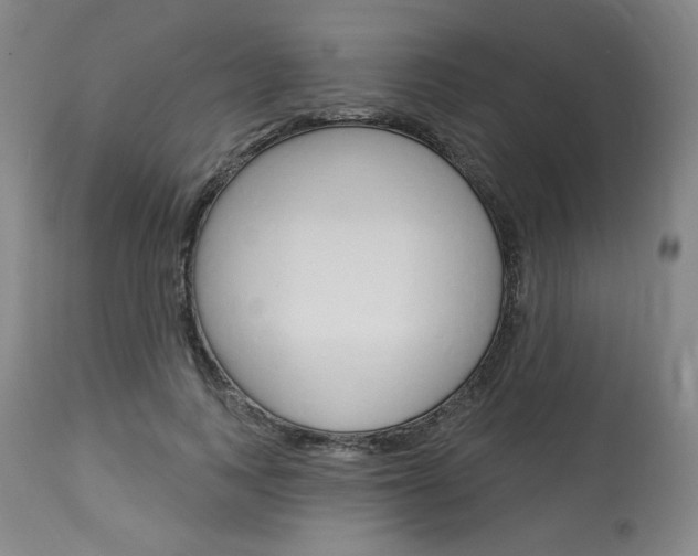 X0000114080743200910050959