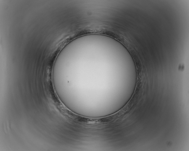 X0000114080744200910050959