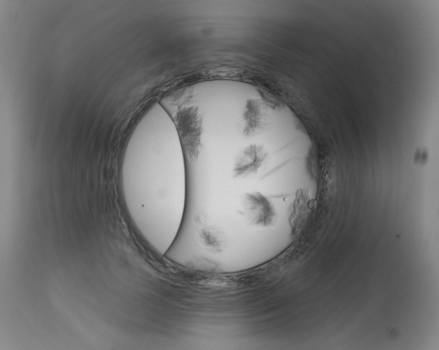 X0000114080745200910050959