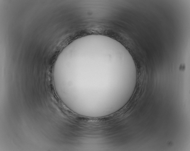 X0000114080749200910050959