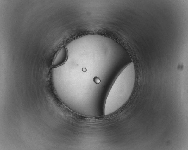 X0000114080750200910050959