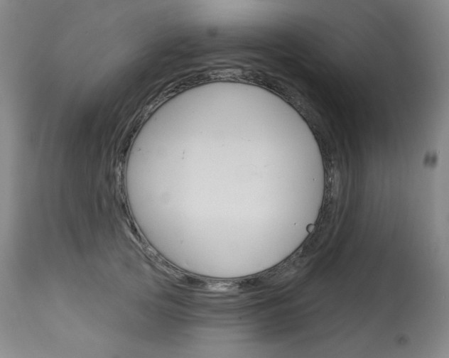 X0000114080753200910050959