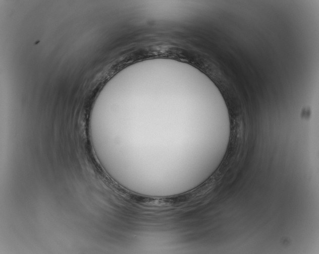 X0000114080754200910050959