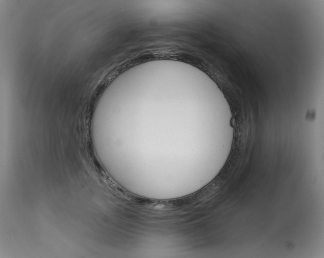 X0000114080755200910050959