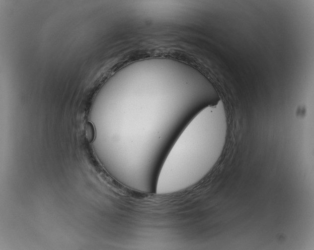 X0000114080756200910050959