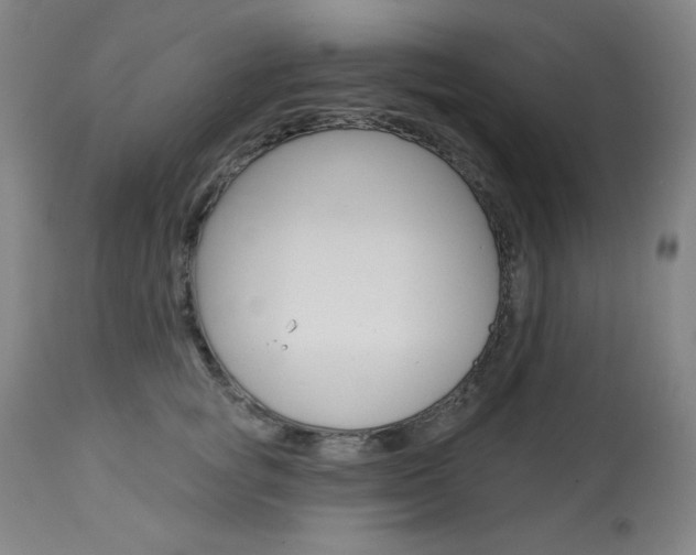 X0000114080757200910050959