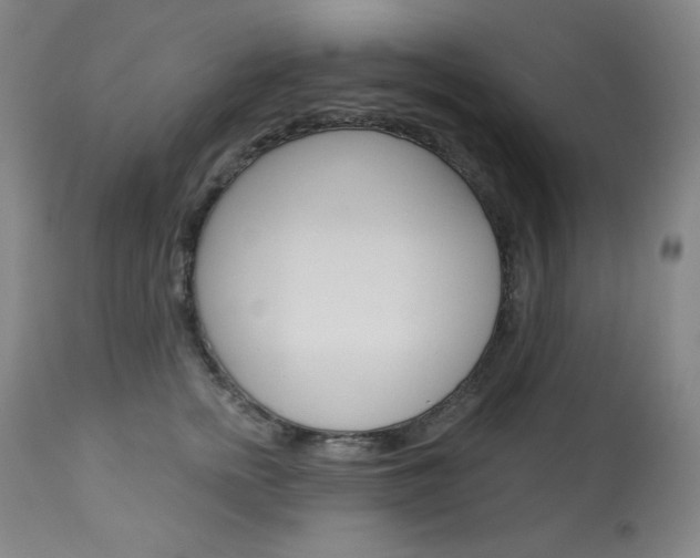 X0000114080758200910050959