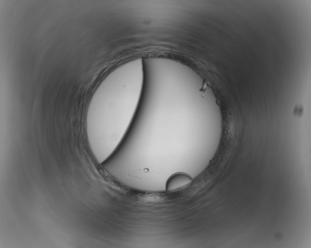 X0000114080759200910051000