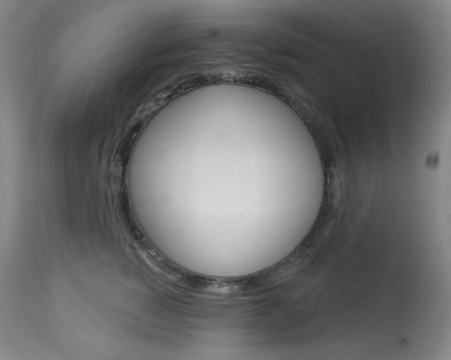 X0000114080760200910051000