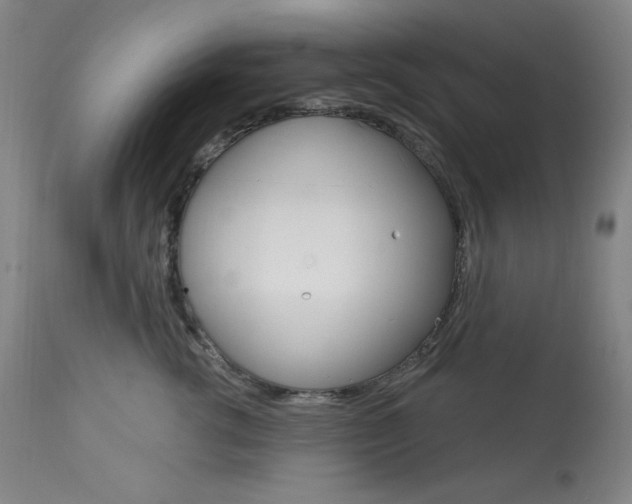X0000114080762200910051000