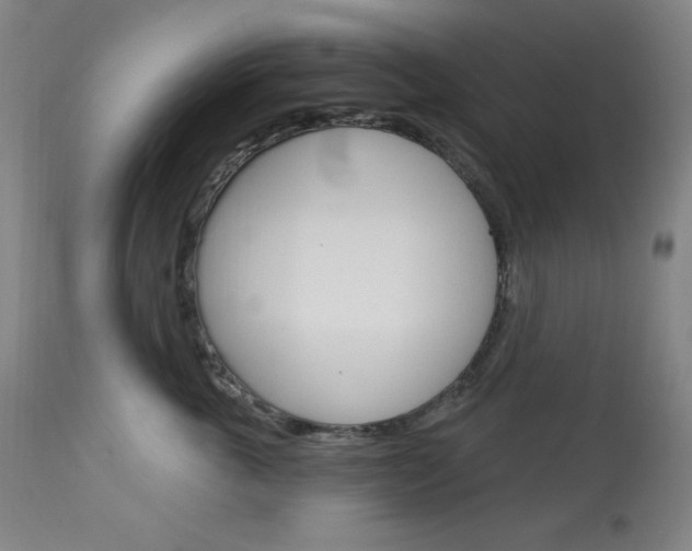 X0000114080763200910051000