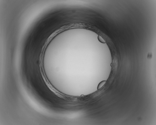 X0000114080765200910051000