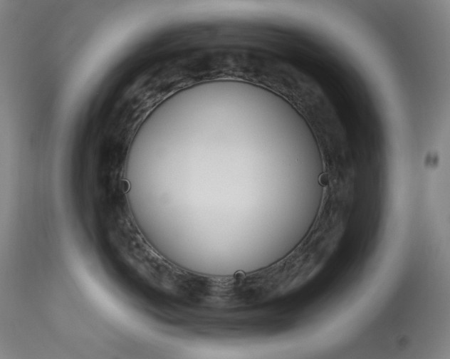 X0000114080766200910051000
