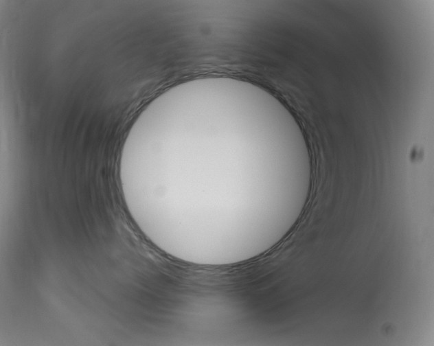 X0000114080768200910051000