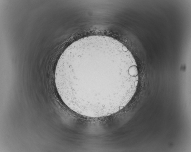 X0000114080769200910050959
