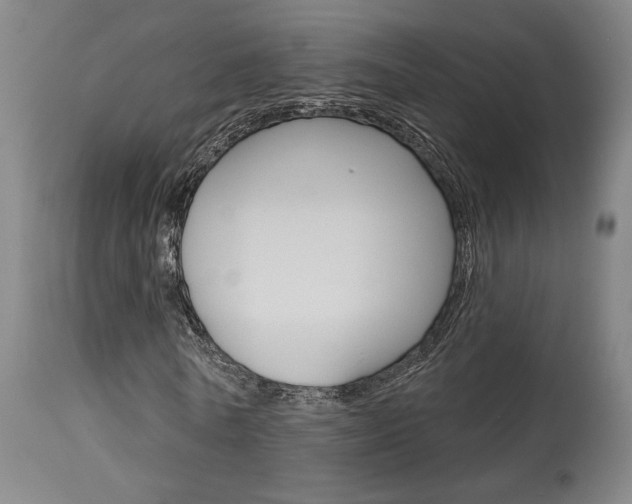 X0000114080770200910050959