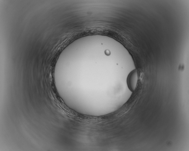 X0000114080771200910050959