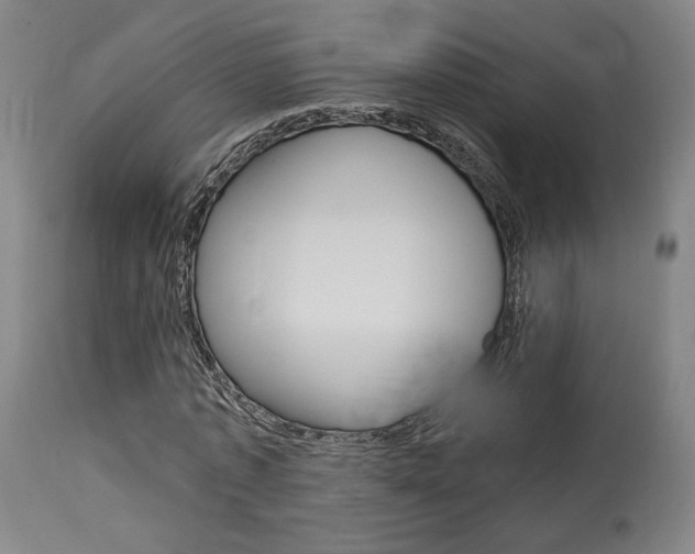 X0000114080773200910050959