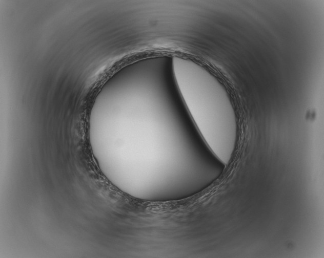 X0000114080776200910050959