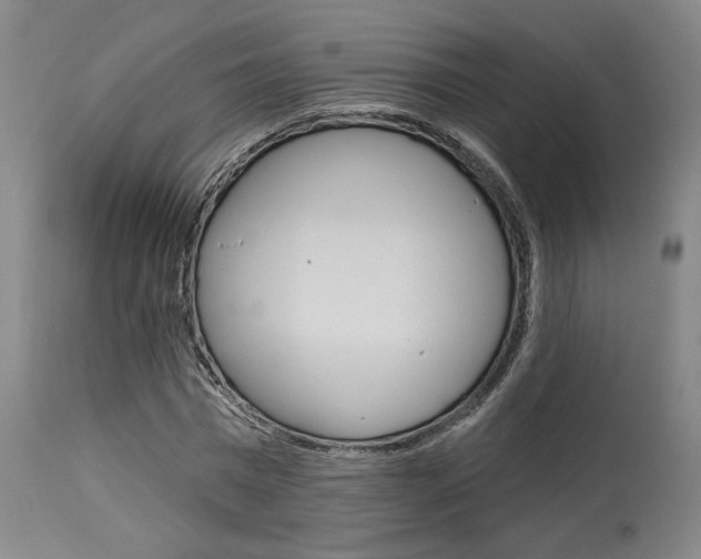 X0000114080777200910050959