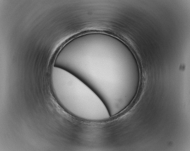 X0000114080779200910050959