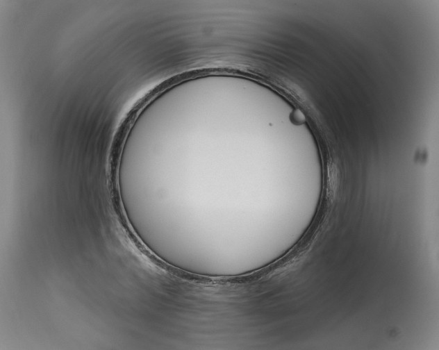 X0000114080780200910050959