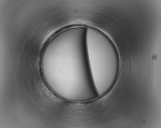 X0000114080783200910050958